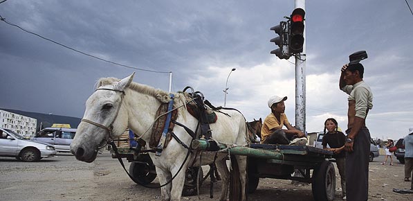 Pferdefuhrwerk an einer roten Ampel