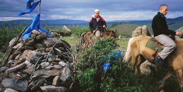mongolische Pferde sind gut erzogen